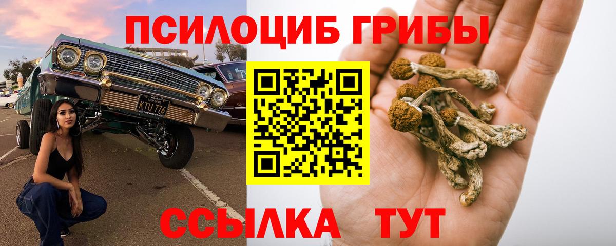 Кохма  Галлюциногенные грибы Psilocybe  наркотики  Вход с VPN  Галлюциногенные грибы прущие грибы 