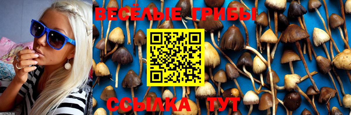Псилоцибиновые грибы мицелий Кохма